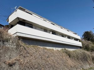 敷地南東側から撮影