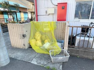 ゴミ集積所