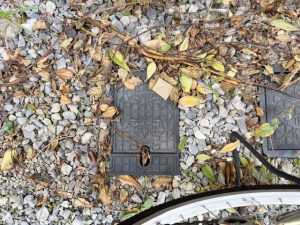 共用部分 共用部分