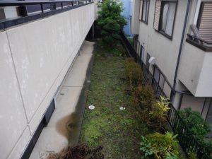 広々したお庭です