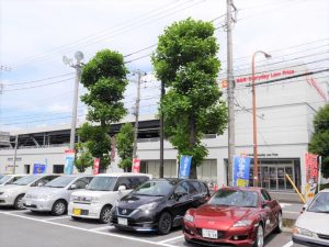 OKストアまで徒歩5分