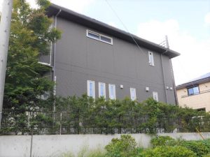 東側より撮影