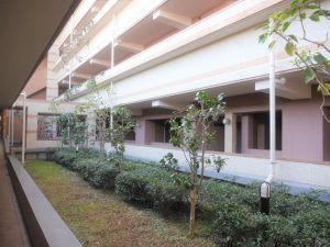 敷地内の1階植栽
