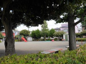 目の前の公園