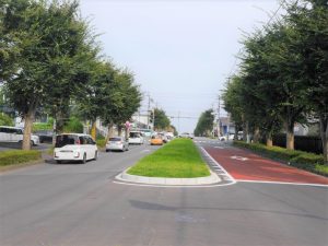 物件近隣道路