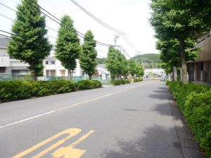 物件近隣道路