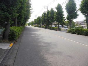 物件近隣道路